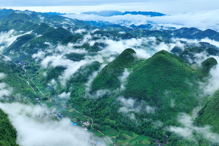 武陵山区：夏韵悠然 田园如诗