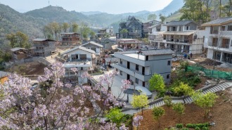 四进三回｜引入市场化运营理念——巫山江村从“灯下黑”变“网上红