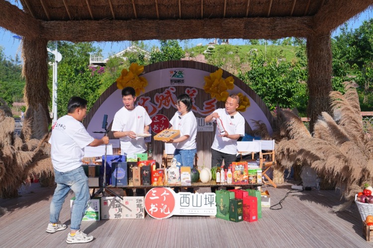 全国首次文艺赋美乡村交流活动在渝举行