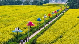 重庆潼南：油菜花开迎客来