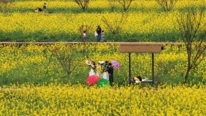 重庆北碚：踏青赏花 乐享春光