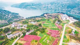 重庆巫山：库区乡村生态美