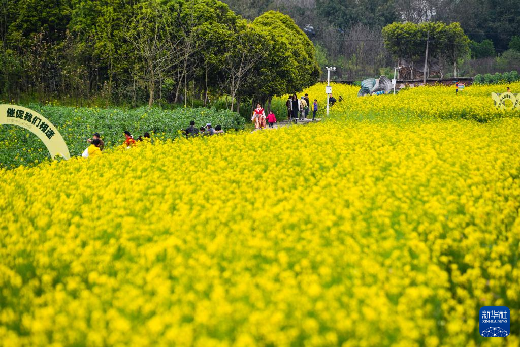 重庆璧山：“田园花朝节”引客来