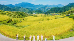 重庆秀山涌洞镇：童笔绘梯田 童趣话丰年