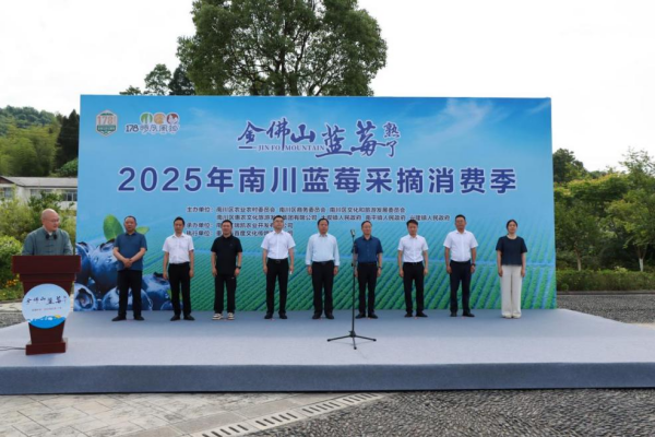 重庆：2025年重庆南川蓝莓采摘消费季启幕_fororder_图片1