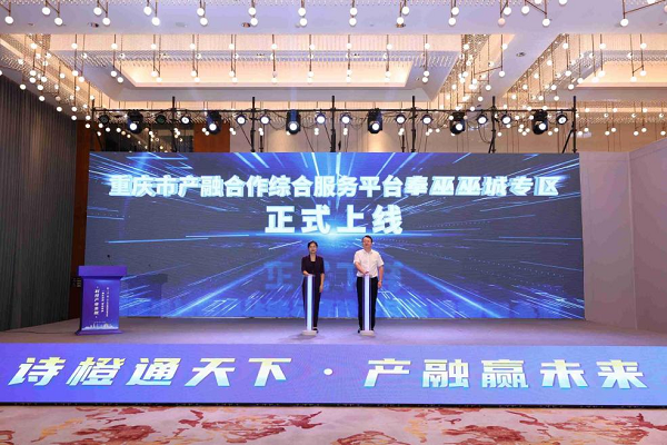 “科技产业金融”一体化路演（奉巫巫城专场）在重庆奉节举办_fororder_mmexport1756278203864