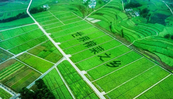 重庆涪陵启动乌江榨菜全国创意征集大赛_fororder_微信图片_20251023152817