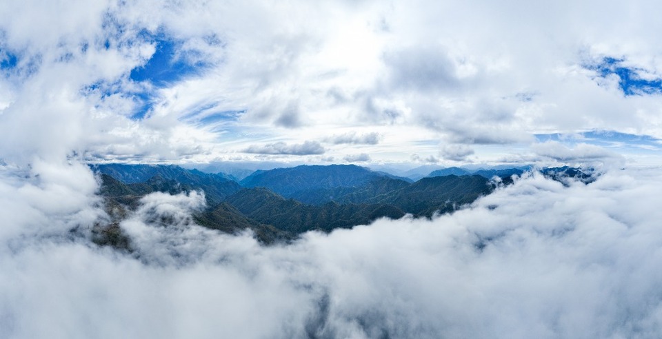 重庆城口:绿色“制氧机”筑牢生态屏障