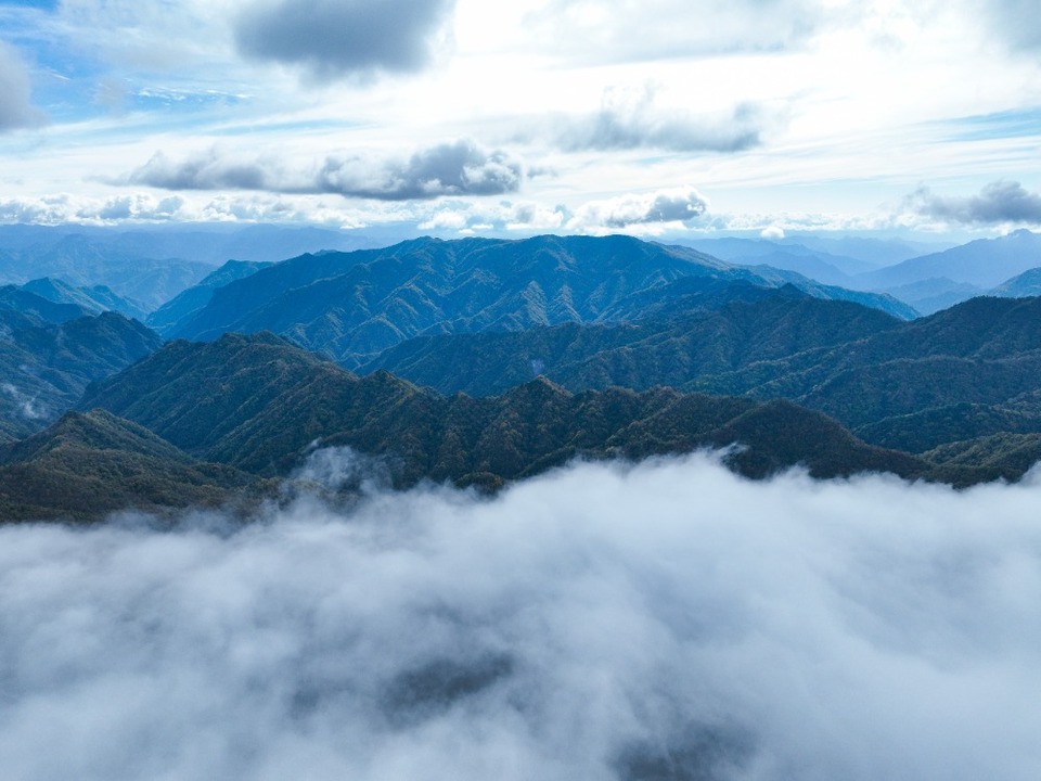 重庆城口:绿色“制氧机”筑牢生态屏障