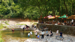 重庆秀山：“凉资源”撬动“热经济” 乡村治理焕发新活力