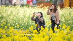 重庆璧山：花开引客来 融合促振兴