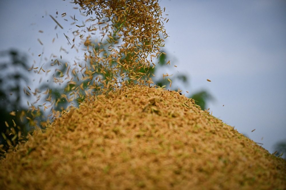 重庆：乡韵更浓郁 乡土更青春