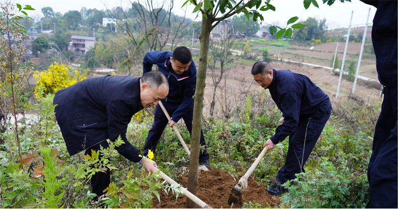 重庆涪陵监狱联合马鞍街道两桂社区开展植树节活动_fororder_图片1
