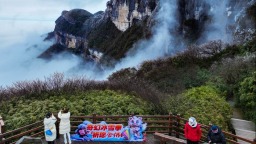 重庆6地入选国家级生态榜单 “高颜值”变成“高价值”