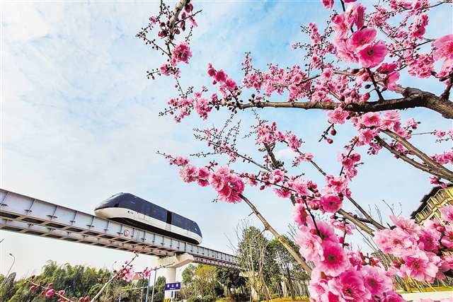 重庆交通正“向绿而行”
