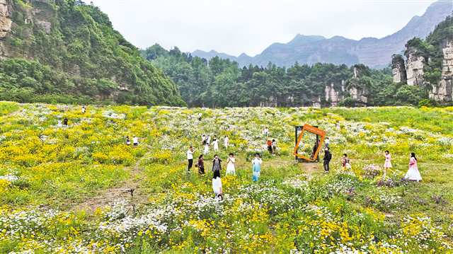 重庆南川： 五月花海醉游人 农旅融合促振兴