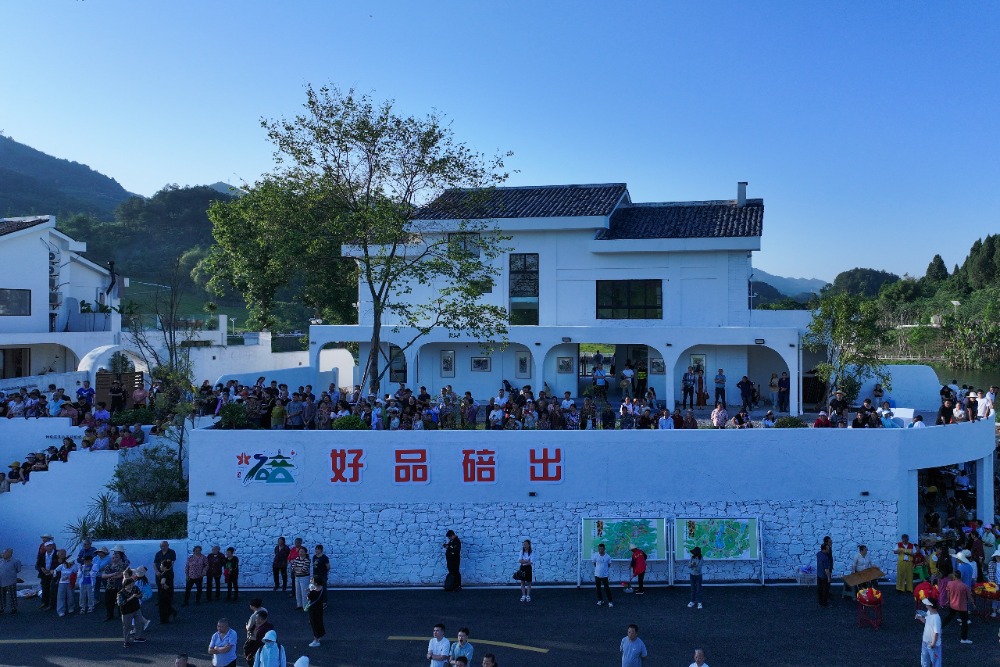 全国首次文艺赋美乡村交流活动在渝举行