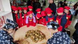 植根乡土 脉动时代 重庆涪陵以榨菜文化培育新时代传承者