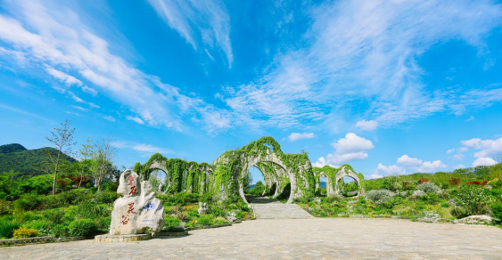 AI点亮千年桃源 重庆酉阳数字文旅发布会引领科技赋能新纪元_fororder_微信图片_20250514163531
