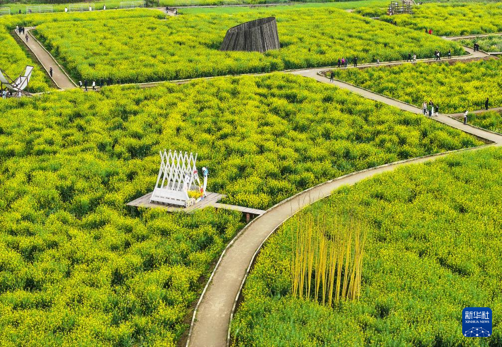 重庆璧山：“田园花朝节”引客来