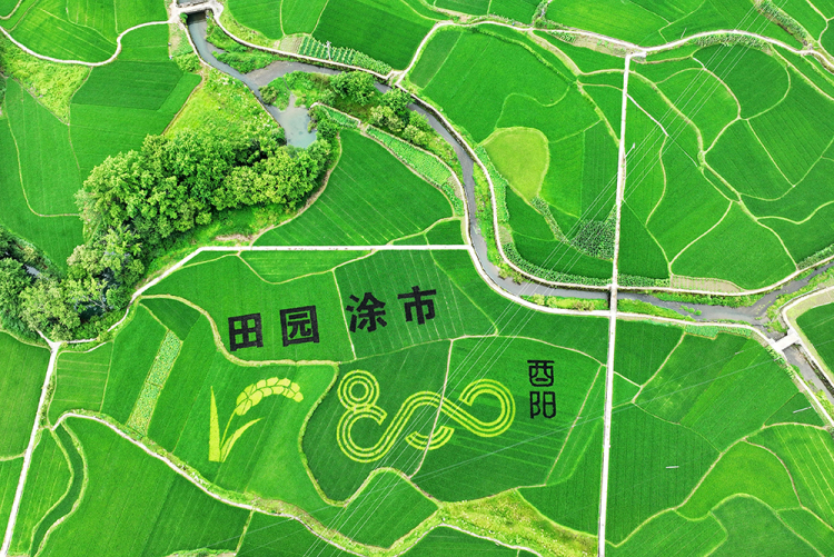 武陵山区：夏韵悠然 田园如诗