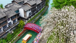 重庆黔江：泡桐花开 古镇如画