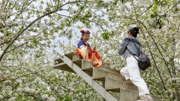 重庆：2026大足棠香人家花神节邀你解锁春日限定浪漫