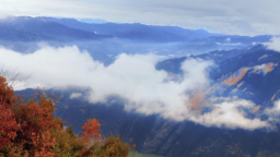 全国红叶景区聚重庆巫山 共启红叶经济新篇章