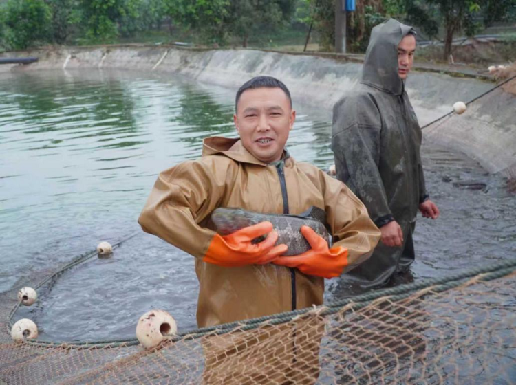 重庆铜梁：小乌鱼“游”出大天地_fororder_mmexport1761805718474