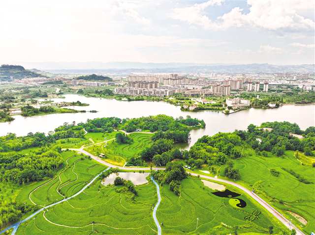 入选《上海手册》 “巴渝治水” 用AI+守护一江碧水