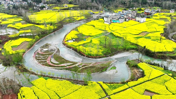 重庆：油菜花开春意浓