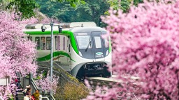 重庆：“开往春天的列车”如约而至