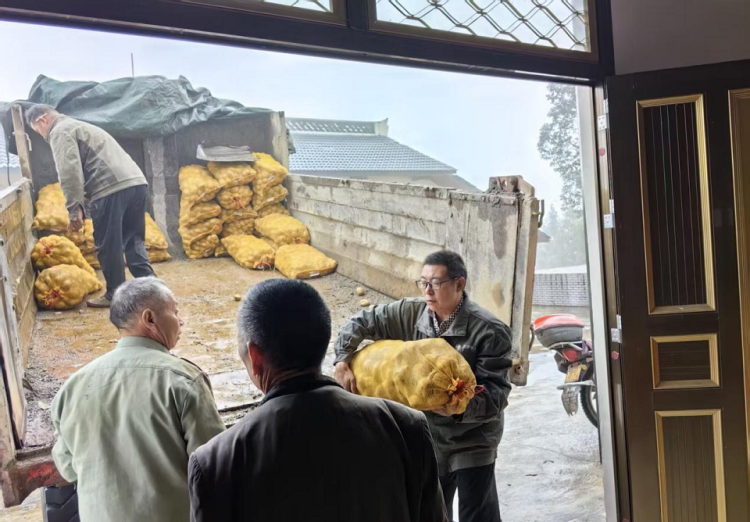 重庆巫溪：电力帮扶送良种 产业“薯”光促振兴_fororder_mmexport1761028038772