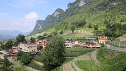 鲁渝协作谱新篇 山海同心绘振兴