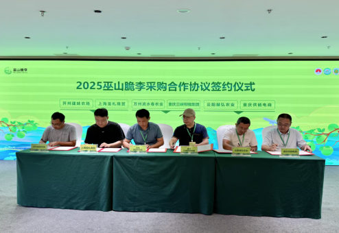 2025年重庆巫山脆李产销订购洽谈会成功举办_fororder_微信图片_20250705154137
