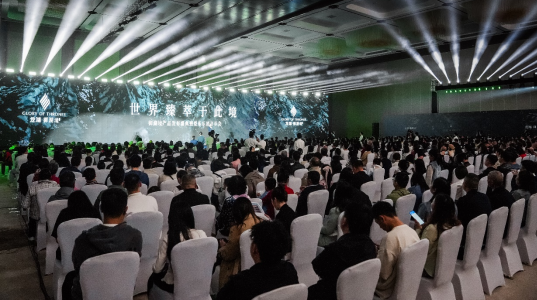 重庆龙湖“御湖境”产品发布会举行_fororder_微信图片_20250430163345