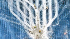 重庆：礼嘉创新中心预计年内投入运营
