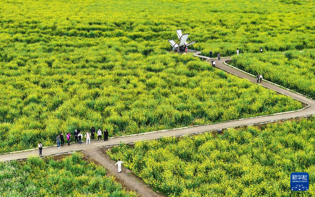 重庆璧山：“田园花朝节”引客来