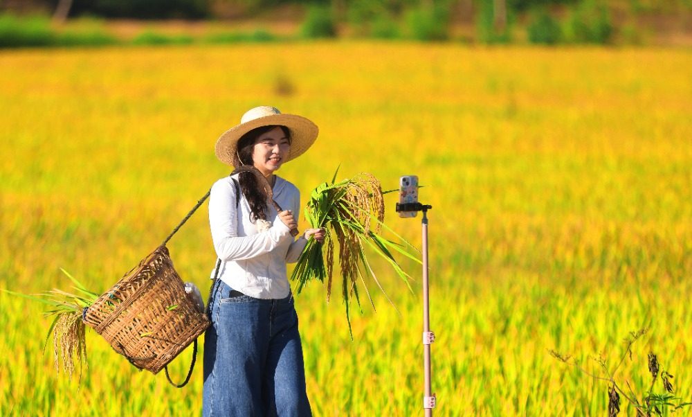 重庆：乡韵更浓郁 乡土更青春