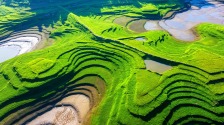 重庆忠县：江畔湿地“绘就”大地油画