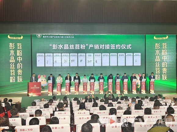 重庆彭水：推动“小红薯”成长为“大产业” 打造名副其实的“中国苕粉之都”
