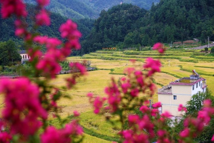 重庆黔江：水美乡村秋色浓