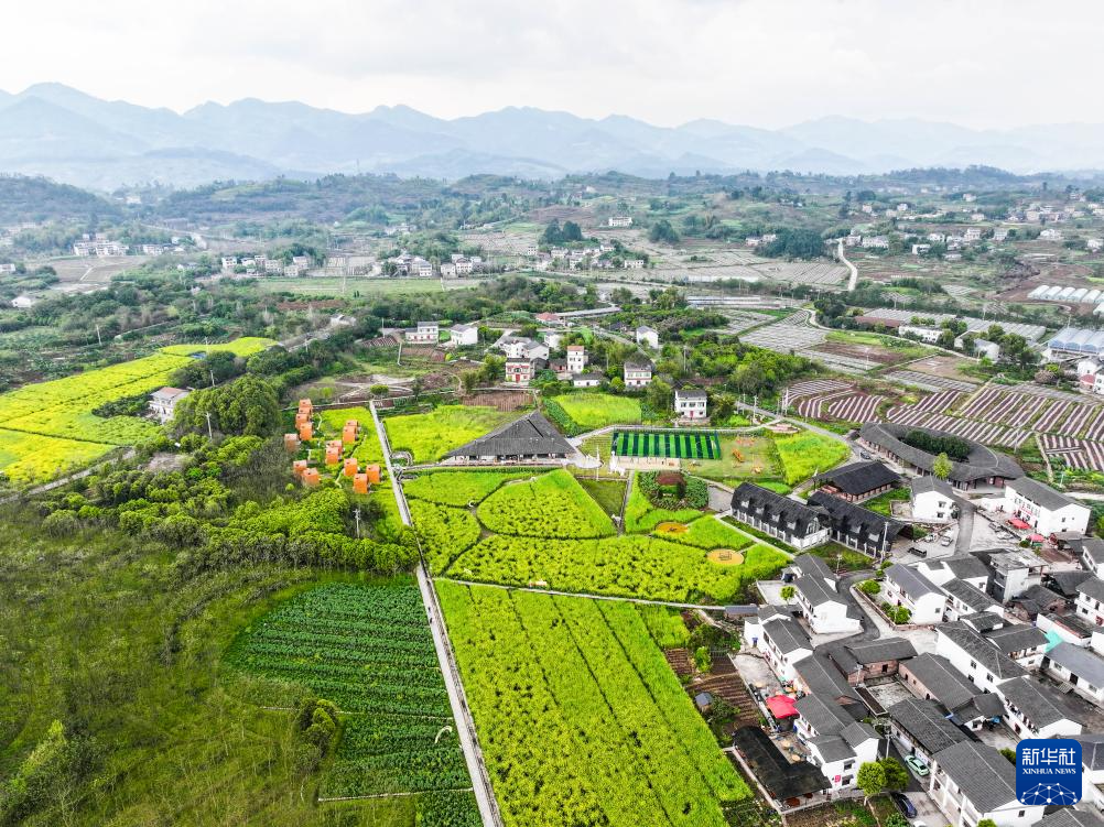 重庆璧山：“田园花朝节”引客来
