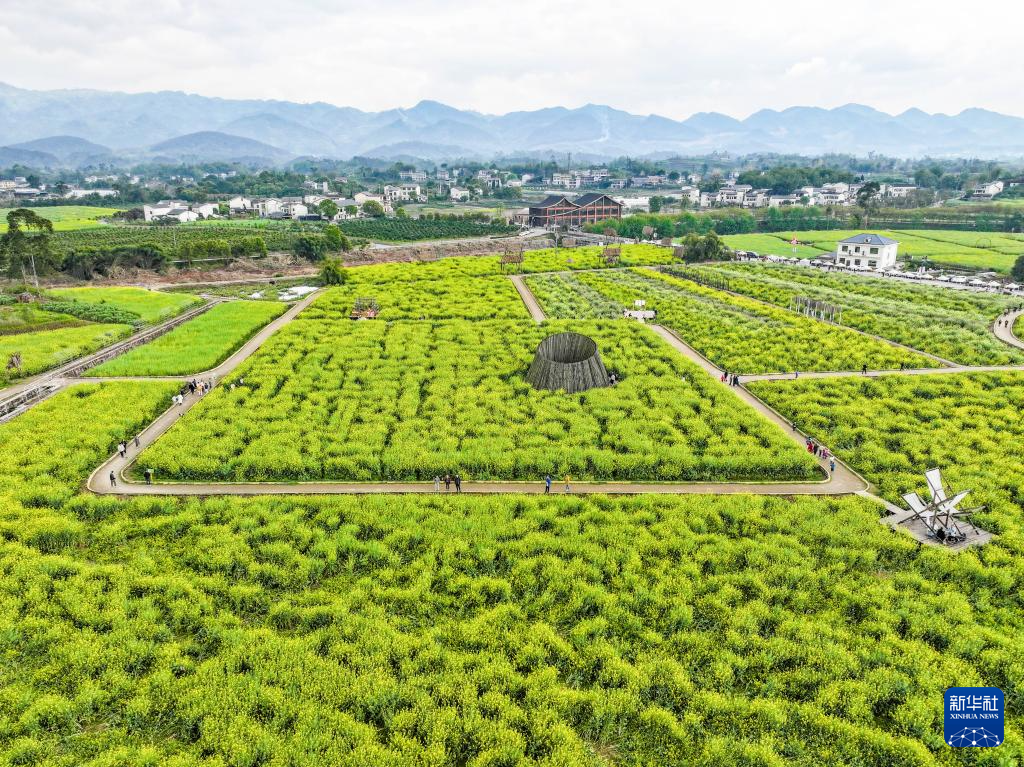重庆璧山：“田园花朝节”引客来