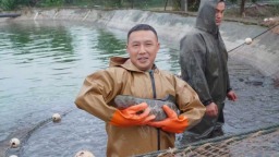 重庆铜梁：小乌鱼“游”出大天地