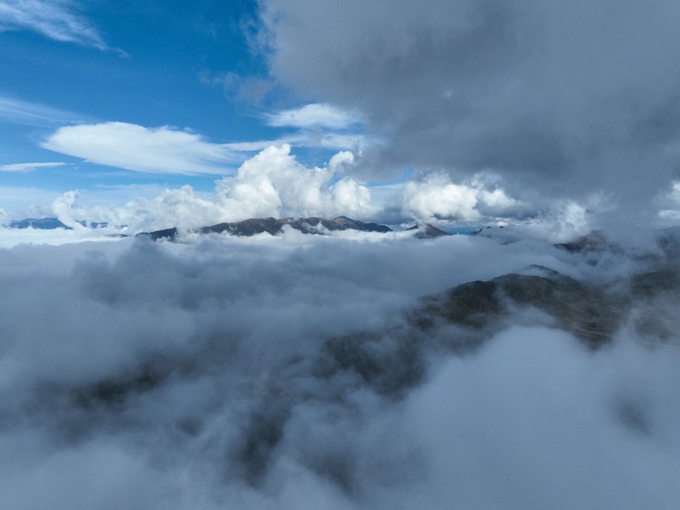 重庆城口:绿色“制氧机”筑牢生态屏障