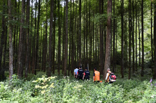 阳光下的守护丨“空地联动”护青绿 重庆黔江公安为森林撑起“防火墙”_fororder_微信图片_20250718155110