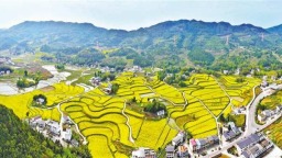 重庆梁平： 高标准农田春景美