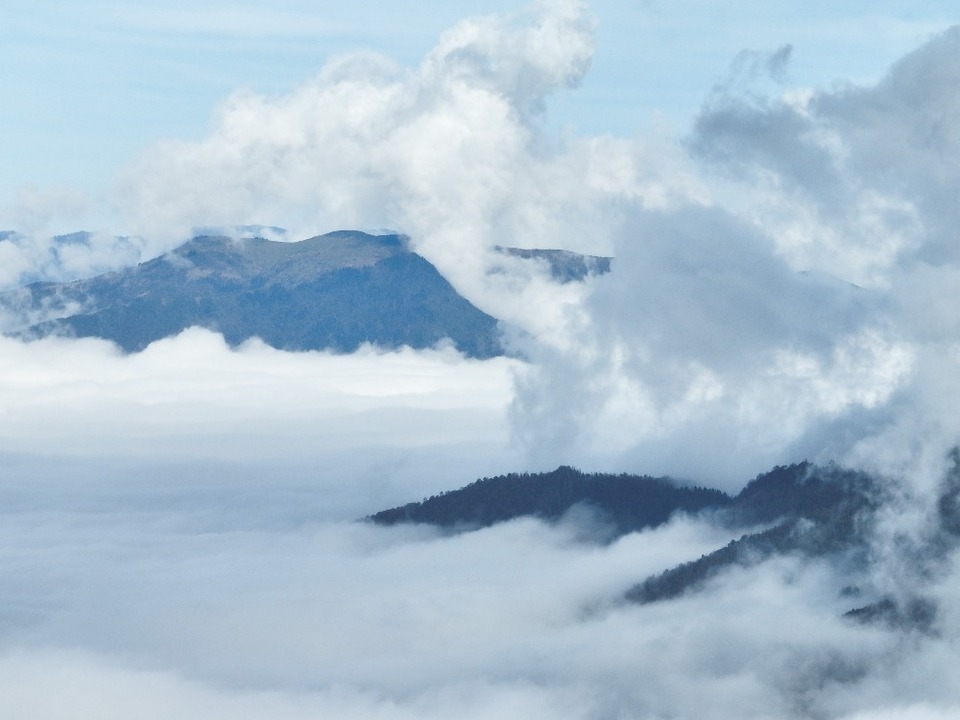 重庆城口:绿色“制氧机”筑牢生态屏障