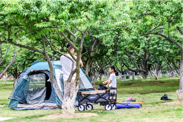 完全無料！黄埔区「キャンプ場」に大集合！